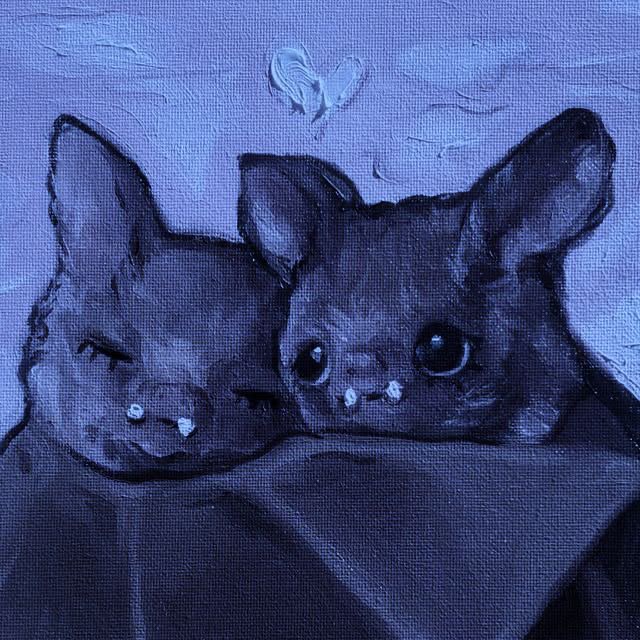 Dos murciélagos acurrucados bajo un corazón